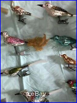 28 Antique Mercury Glass Birds Christmas Ornaments Clip Mint