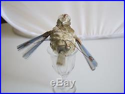 Antique Christmas Orn, American Eagle W Shield On Chest, Spun Glass Wings & Tai