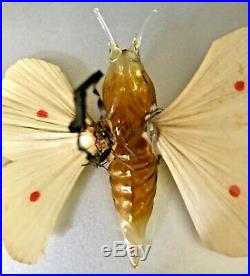 Antique VTG Amber Unsilvered Butterfly Spun Glass Wing German Christmas Ornament