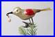 Antique-VTG-Glass-Clip-On-BIRD-w-Berry-in-Curved-Beak-Christmas-Ornament-Germany-01-wrjf
