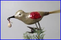 Antique VTG Glass Clip On BIRD w Berry in Curved Beak Christmas Ornament Germany