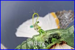 Antique Vintage Spun Glass Wings BUTTERFLY MOTH Christmas Ornament Germany Antique Vintage Spun Glass Wings BUTTERFLY MOTH Christmas Ornament Germany