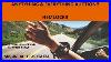 Anything-U0026-Everything-Auction-01-ej