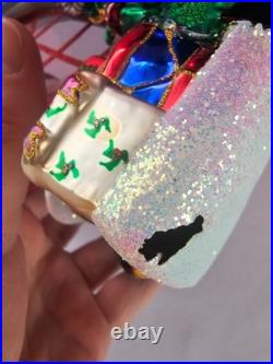 Christopher Radko A Glimpse of Christmas Ornament 1016985 Santa Looking In READ