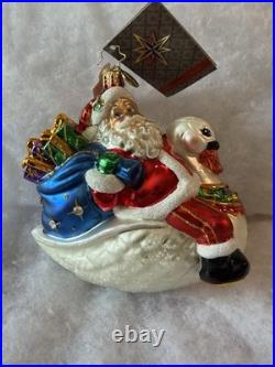 Christopher Radko Glass Ornament Birds of A Feather 2010 Rare Retired 1015922