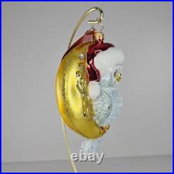 Christopher Radko Glass Owl On Moon Christmas Ornament Hooo Knew Christopher Radko Glass Owl On Moon Christmas Ornament Hooo Knew