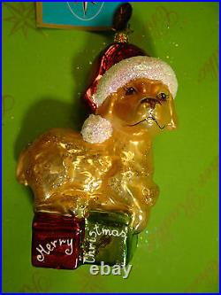 Christopher Radko Golden Dreamer Glass Ornament