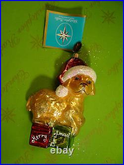 Christopher Radko Golden Dreamer Glass Ornament