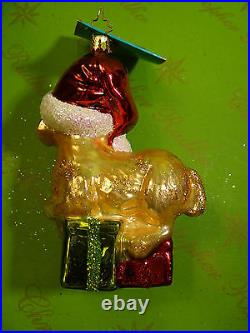 Christopher Radko Golden Dreamer Glass Ornament