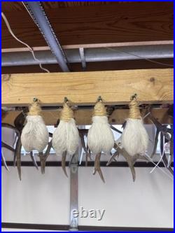 Deer Ball Christmas Ornaments