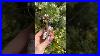 Deer-With-Lantern-Glass-Christmas-Ornament-Woodland-Animal-Tree-Decor-Christmas-Decoration-01-fdz