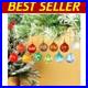 Garden-Decor-Set-of-12-Glass-Gazing-Ball-Ornaments-01-zpol