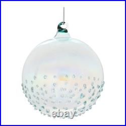 Iridescent Glass Ball Ornament (Set of 12)