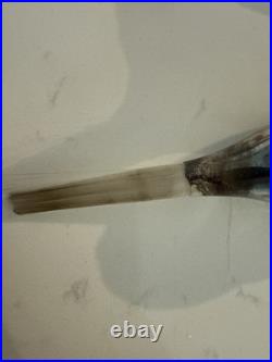 Lot Of Rare Vintage Bird Christmas Tree Glass Ornaments Italian