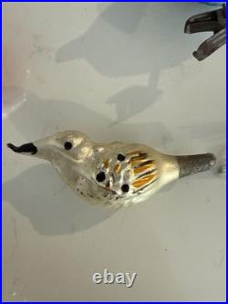 Lot Of Rare Vintage Bird Christmas Tree Glass Ornaments Italian