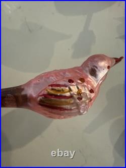 Lot Of Rare Vintage Bird Christmas Tree Glass Ornaments Italian