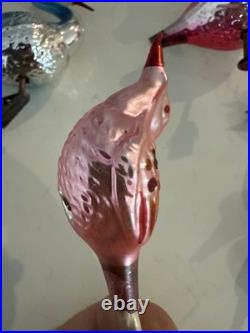Lot Of Rare Vintage Bird Christmas Tree Glass Ornaments Italian