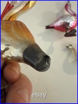 Lot Of Rare Vintage Bird Christmas Tree Glass Ornaments Italian