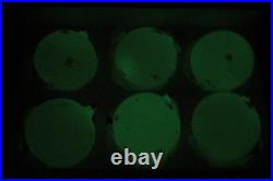 Lot VTG Unsilvered Glass Pictured GLOW in DARK BALL Christmas Ornaments Germany