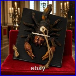 NEW Pottery Barn x Wednesday Addams Set of 6 Christmas Halloween Ornaments NIB