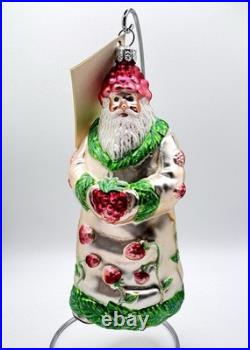 Patricia Breen Raspberry Strawberry Santa Glass Christmas Ornament 6
