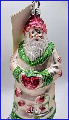 Patricia Breen Raspberry Strawberry Santa Glass Christmas Ornament 6