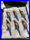 RARE-Frontgate-Holiday-Collection-SET-6-MACAW-PARROT-Glass-Christmas-Ornaments-01-uyya