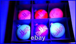 RARE Vintage Shiny Brite opaque non silvered stenciled ornaments. NOS. UV glow