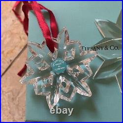 Tiffany & Co. Christmas Ornament Glass Snowflakes, Star, Penguin Lot with Box RARE