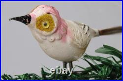 VTG Unsilvered Glass LARGE EYE Turn Head BIRD Clip On Christmas Ornament German