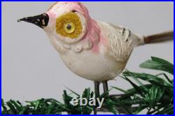 VTG Unsilvered Glass LARGE EYE Turn Head BIRD Clip On Christmas Ornament German