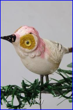 VTG Unsilvered Glass LARGE EYE Turn Head BIRD Clip On Christmas Ornament German