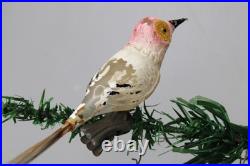 VTG Unsilvered Glass LARGE EYE Turn Head BIRD Clip On Christmas Ornament German