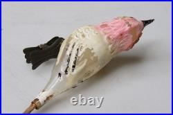 VTG Unsilvered Glass LARGE EYE Turn Head BIRD Clip On Christmas Ornament German