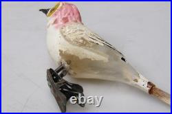 VTG Unsilvered Glass LARGE EYE Turn Head BIRD Clip On Christmas Ornament German