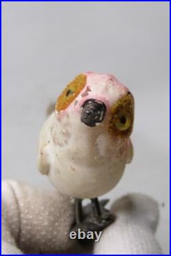 VTG Unsilvered Glass LARGE EYE Turn Head BIRD Clip On Christmas Ornament German