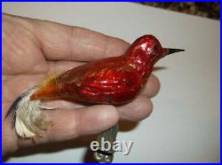 Vintage German Blown Glass Bird On A Clip Christmas Ornament Red Gold Look