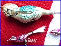 Vintage Mercury Glass Birds Christmas Decorations Clip Santa Claus 6 Piece